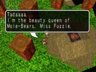 Miss Fuzzie