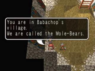 You are in Babachop's village.
