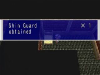 Shin Guard obtained