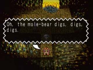 Turtle Cave - Oh, the mole-bear digs...
